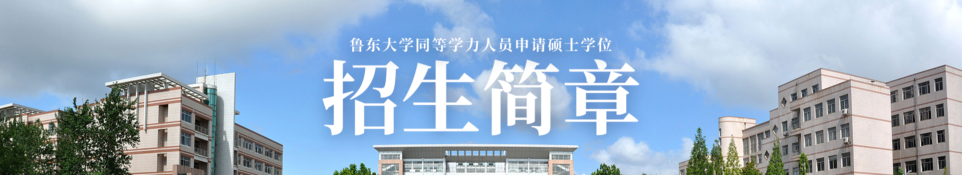 鲁东大学同等学力人员申请硕士学位综合服务平台